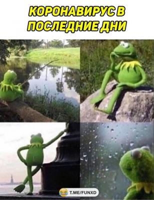 Прикрепленное изображение: 16527104.jpg